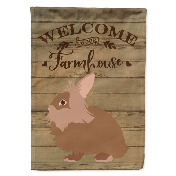 Caroline's Treasures CK6904GF Lionhead Rabbit Welcome Flag Garden Size , Small, multicolor
