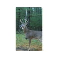 thumbnail image 3 of Hodag HempScent  Mock Scrape Rope System Single Setup, 3 of 3