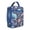 19, variant on Dinosaur Lover Insulated Lunch Box Men Reusable Lunch Bag Water-Resistant Portable Lunch Bag School Hiking