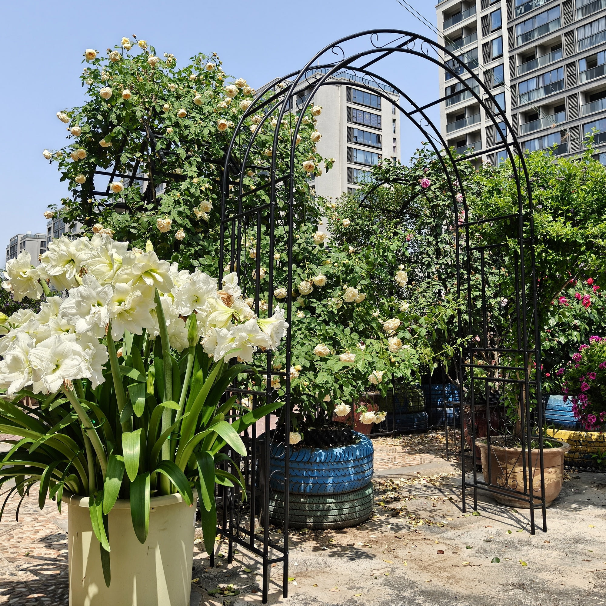 Garden Arch, Climbing Plants Support Rose Arch Outdoor Black L59" x W17.71" x H90.55"