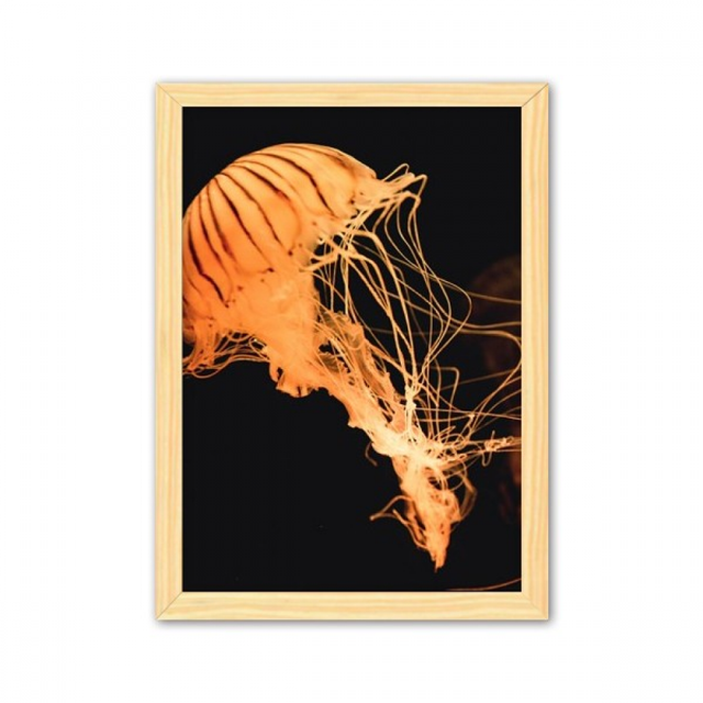 Ocean medusas ciencia naturaleza foto Cuadro de madera decorativa marco de casa A4