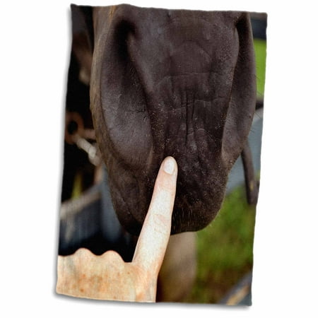 3dRose tag your it finger on muzzle horse - Towel, 15 by