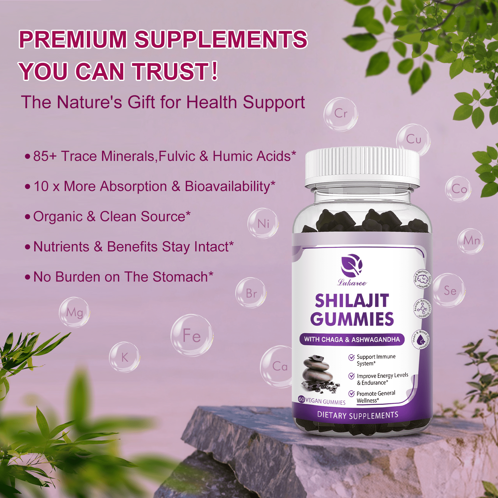Shilajit Gummies, Organic Shilajit Resin Gummies with Ashwagandha & Turmeric & Black Seed Oil & Ginseng, Shilajit Supplement for Energy, Immune Support, Apple Flavor, 120 Count