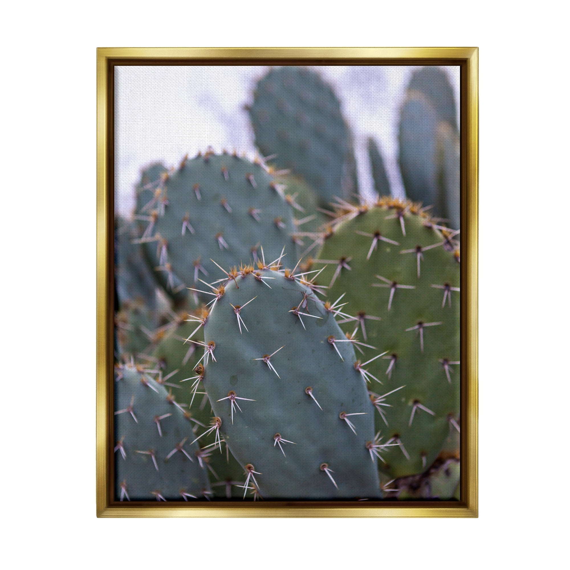 Stupell Industries Prickly Cactus Thorns Close Up Photography Desert Vegetation Photograph Metallic Gold Floating Framed Canvas Print Wall Art, Design by Jeff Poe Photography