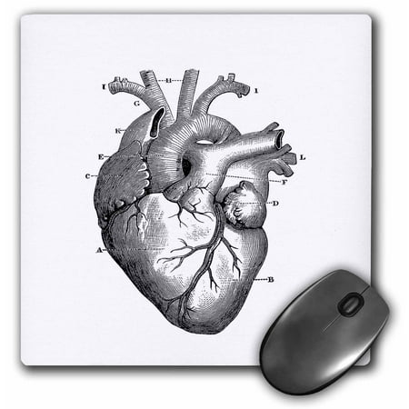 8 Inch Ho Fan - 3dRose Vintage Sketch Of Human Heart, Mouse Pad, 8 by 8 inches