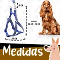 thumbnail image 4 of Set Arnés Y Correa Para Perros Grandes Resistente 2.5mts Dog, 4 of 8