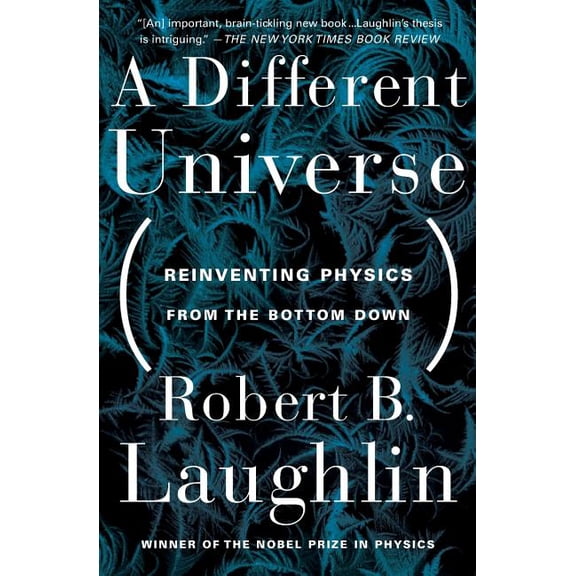 A Different Universe: Reinventing Physics From the Bottom Down, (Paperback)