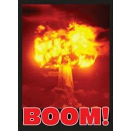 Legion Supplies LGNART017 Legion Art Sleeve Boom Standard Sized 50 Ct. Multi-Colored