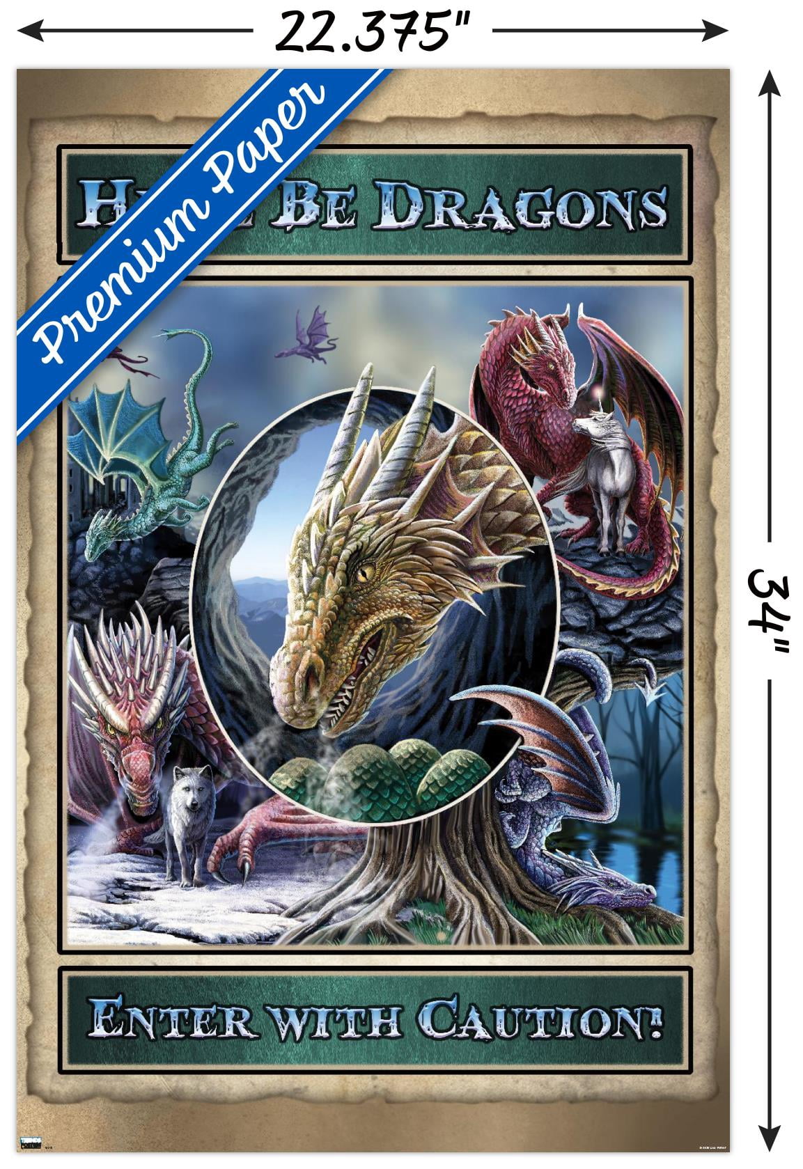 Lisa Parker - Here Be Dragons Wall Poster, 22.375" x 34"