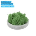 thumbnail image 3 of Uxcell 10 OZ Musgo Falso Musgo Reindier Conservado Musgo Artificial Decorativo para Plantas en Macetas Manualidades, Verde, 3 of 6