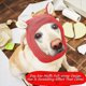 thumbnail image 4 of Pet Ear Muffs W Dog Ear Protection Warm Pet Head Wrap Dog Snood For Protecting Pets From Noise And Anxiety, 4 of 4