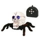 thumbnail image 3 of Skull Spider Toy Cool Infrared Spider Skull Toy Robusto Control Remoto Spider Toy No Tóxico Wireless Skeleton Spider Toy Anti-Caída Para El Hogar Niños Kearding HA017089-00, 3 of 5