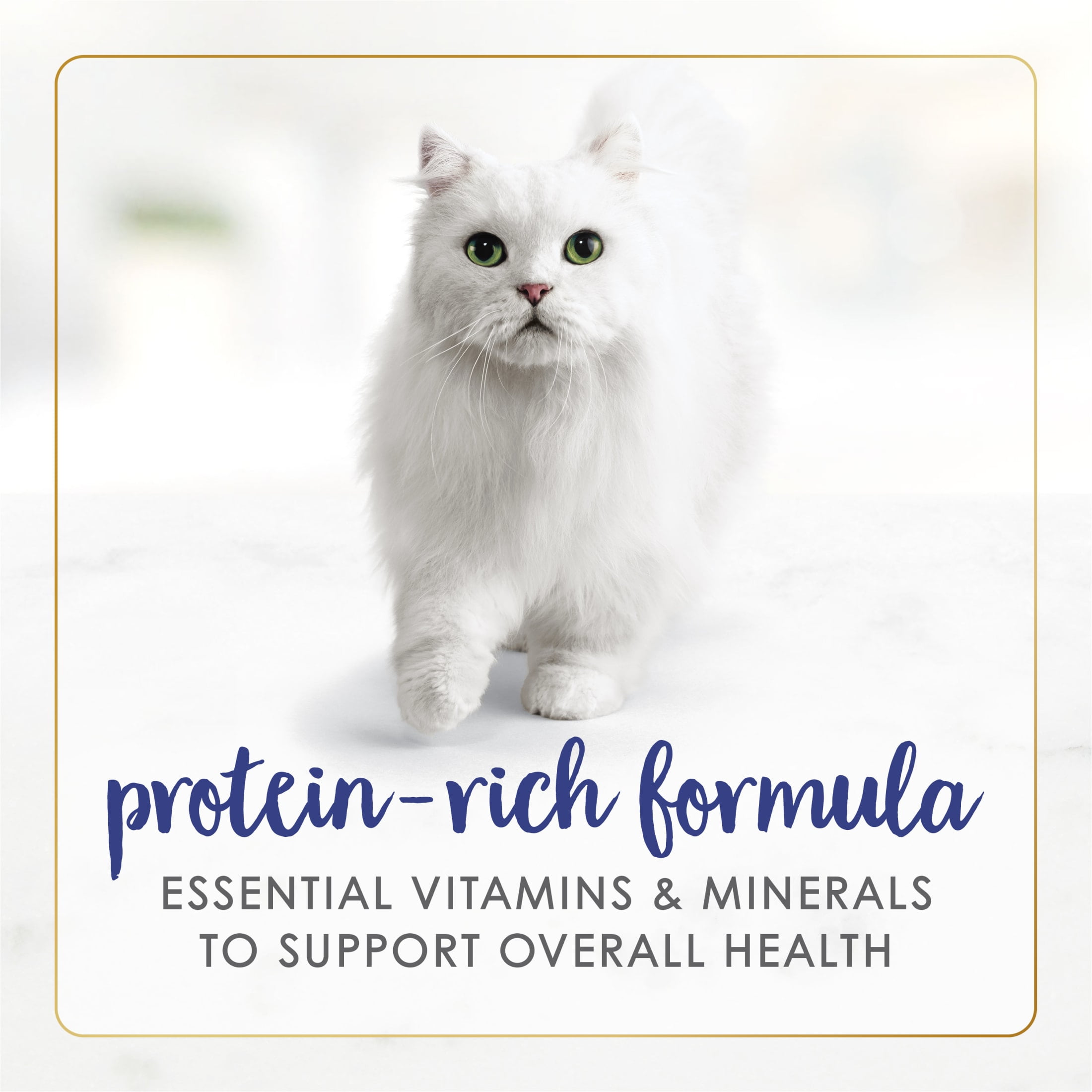 (24 pack) Purina Fancy Feast Fish & Shrimp Feast Flaked Wet Cat Food, 3 oz Can