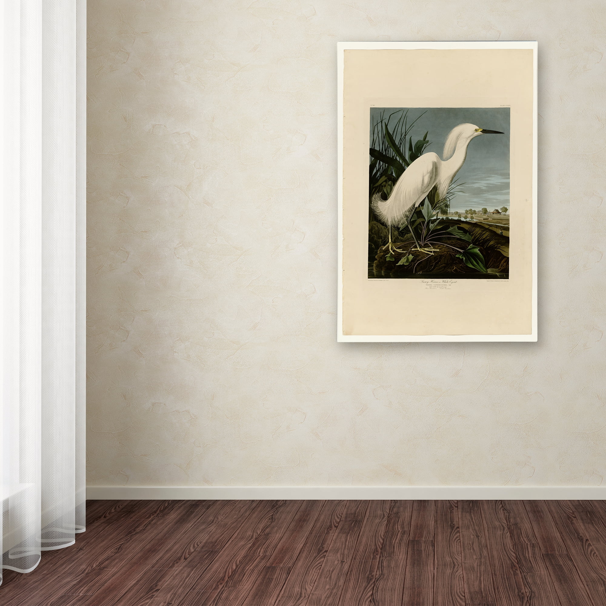 Trademark Fine Art 'Snowy Heron' Canvas Art by John James Audobon
