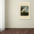 thumbnail image 3 of Trademark Fine Art 'Snowy Heron' Canvas Art by John James Audobon, 3 of 3
