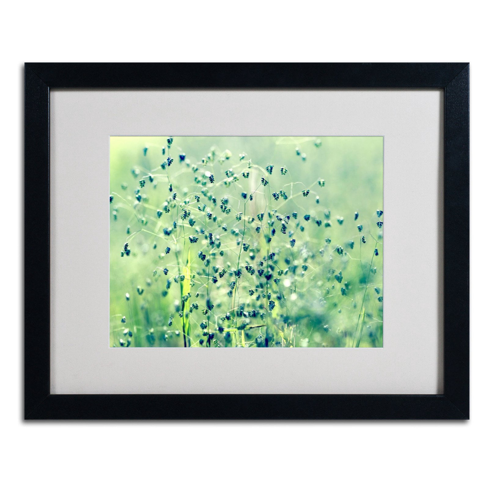 Trademark Fine Art "Spring Notes" Framed Canvas Art by Beata Czyzowska Young