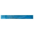 thumbnail image 4 of Searay Raw Pacific White Shrimp, Deveined, Easy-Peeled, 454 g, 4 of 4