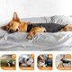 thumbnail image 4 of XL Chaqueta para la ansiedad del perro: chaleco de solución calmante recomendado por veterinarios para fuegos artificiales, truenos, viajes y separación, 4 of 5
