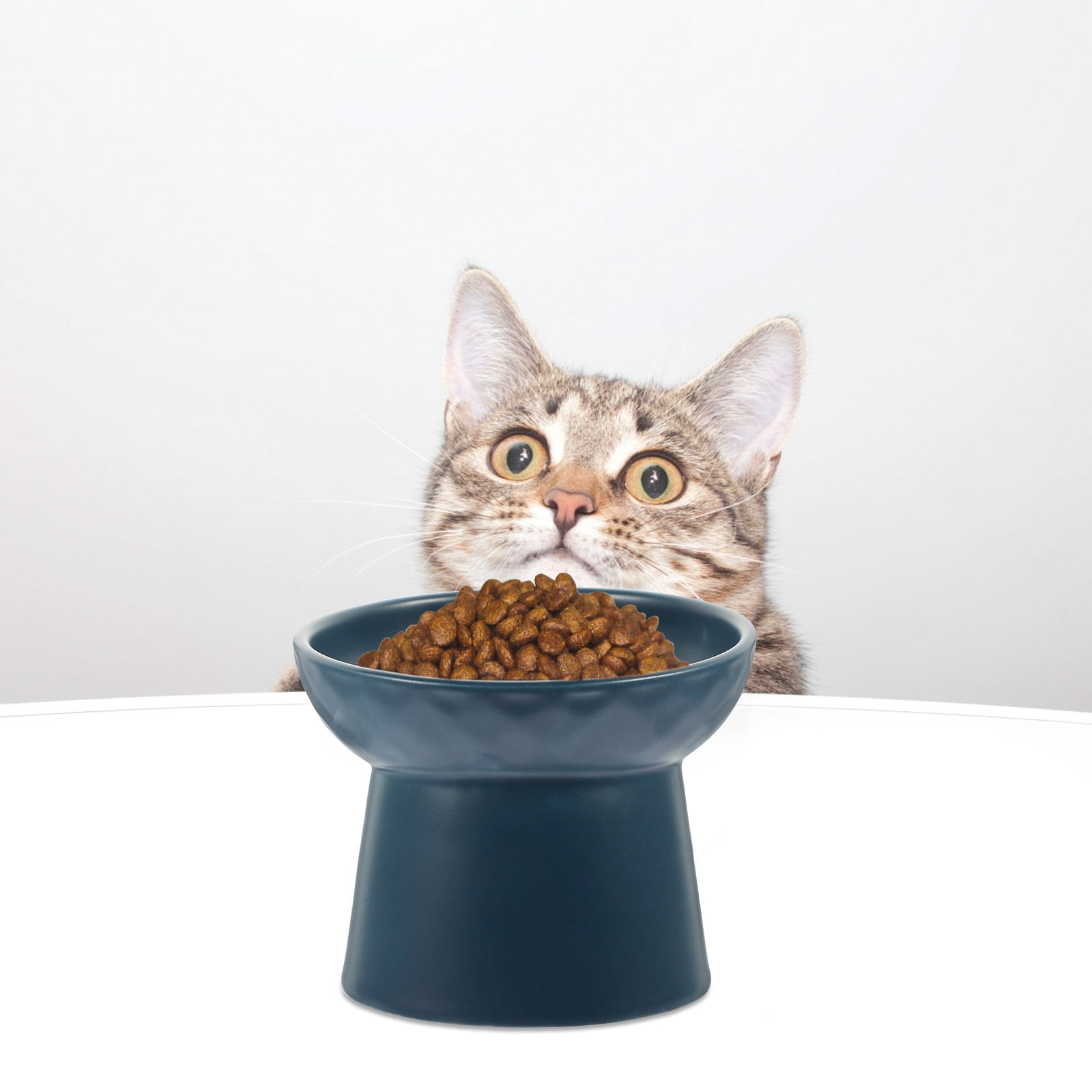PBPBOX Indoor Pet Bowl Cat Bowl Ceramic Navy 1Pack
