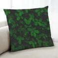 thumbnail image 1 of Ahgly Company Color Focus Green Indoor Throw Pillow, 18 inch by 18 inch, 1 of 6