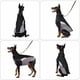 thumbnail image 4 of 1 pieza de chaleco para cachorros y perros, chaqueta para exteriores, ropa cálida para perros de invierno, 4 of 4