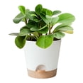 thumbnail image 4 of Macetas para plantas Toystoory 6 piezas sistema de drenaje Jardín y Patio Bandeja marrón verde, 4 of 6