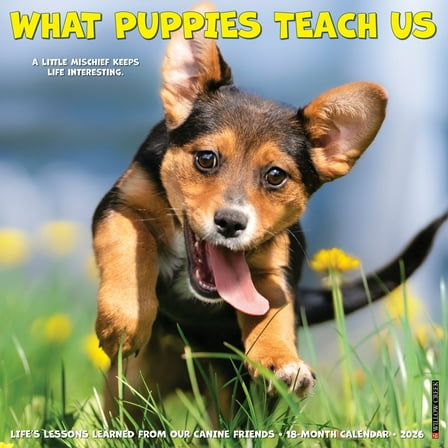 What Puppies Teach Us 2026 Wall Calendar