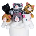 thumbnail image 1 of PASSIONFRUIT Juego de peluche para gatos – Juego de 6 juguetes de peluche para niños – 6 pulgadas de largo – Colores brillantes y vibrantes – Juego de juguetes suaves para niños y niñas, 1 of 1