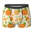 thumbnail image 6 of Men's Boxer Briefs, Juicy Orange Green Leaves Soft Comfy Mens Underwear Boxer Briefs Breathable With Widen Waist, 6 of 7