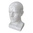 thumbnail image 2 of Men Mannequin Head PVC Display Stand Durable Styling for Game Console, Hats, Jewellery 13.4inch Tall Gloss White, 2 of 8