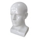 thumbnail image 1 of Cabeza de maniquí de PVC para hombre, soporte de exhibición, herramienta de peinado de belleza para sombrero, bufanda, accesorio Blanco, 1 of 9