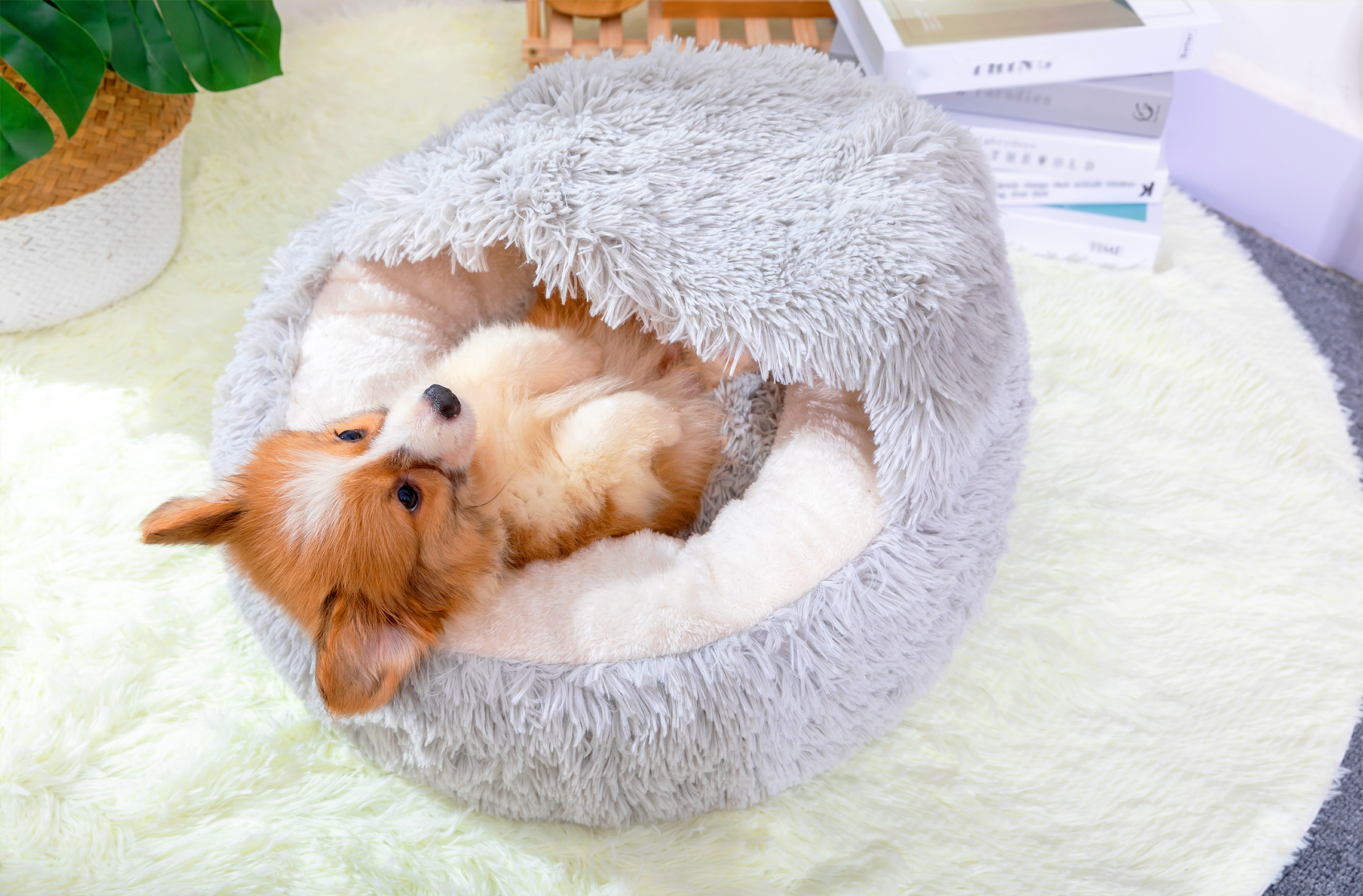 PetPals Round Plush Pet Bed for Cat and Dog Grey Fluffy Soft Warm Sleeping Nest 20" x 20"