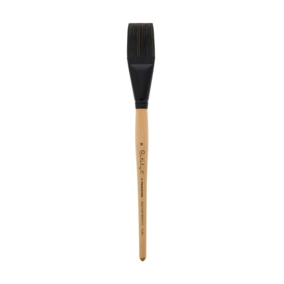 Princeton Brush Catalyst Polytip Long Handle Bristle Brush, Flat, 20