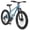 Green, variant on Ecarpat Fat Tire Mountain Bike for Adults Mens 24 inch, 21Speed Disc Brakes, Disc Brakes