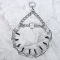thumbnail image 1 of Collier Pincé pour Animaux, Collier à Dents pour Chien, Durable et Robuste pour l'Entraînement, 1 of 8