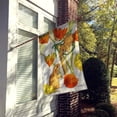 thumbnail image 2 of Carolines Treasures ASA2029CHF Harvest Mice Flag Canvas House Size  Large multicolor, 2 of 4