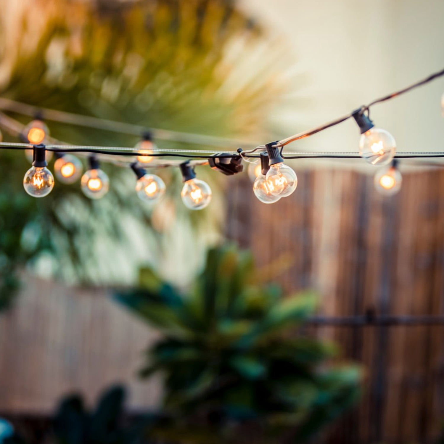 Globe Electric Monaco 25-Light 25 ft. Indoor/Outdoor Plug-In String Light, Bulbs Included