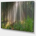 thumbnail image 2 of Forêt Verte en Brume Panorama - Impression sur Toile Paysage, 2 of 4