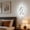 A52 A 33x13x13cm, variant on Wall Sconces, Spiral Modern Led Wall Sconce Lighting, 21W 6500K Cool White Indoor Wall Light Wall Light Fixtures, Acrylic Led Wall Lamp For Bedroom Bathroom Living Room Hallway Balcony