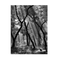 Yvette Depaepe 'Enchanted Forest ' Canvas Art