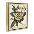 thumbnail image 4 of Stupell Industries Vintage Moth & Plant Study Animals Painting Gold Floater Framed Canvas Art Print Wall Art, 25 x 25, 4 of 10