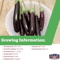 thumbnail image 2 of Harris Seeds - Hansel F1 Eggplant Seeds - Treated - Non-GMO - 1K Seeds, 2 of 7
