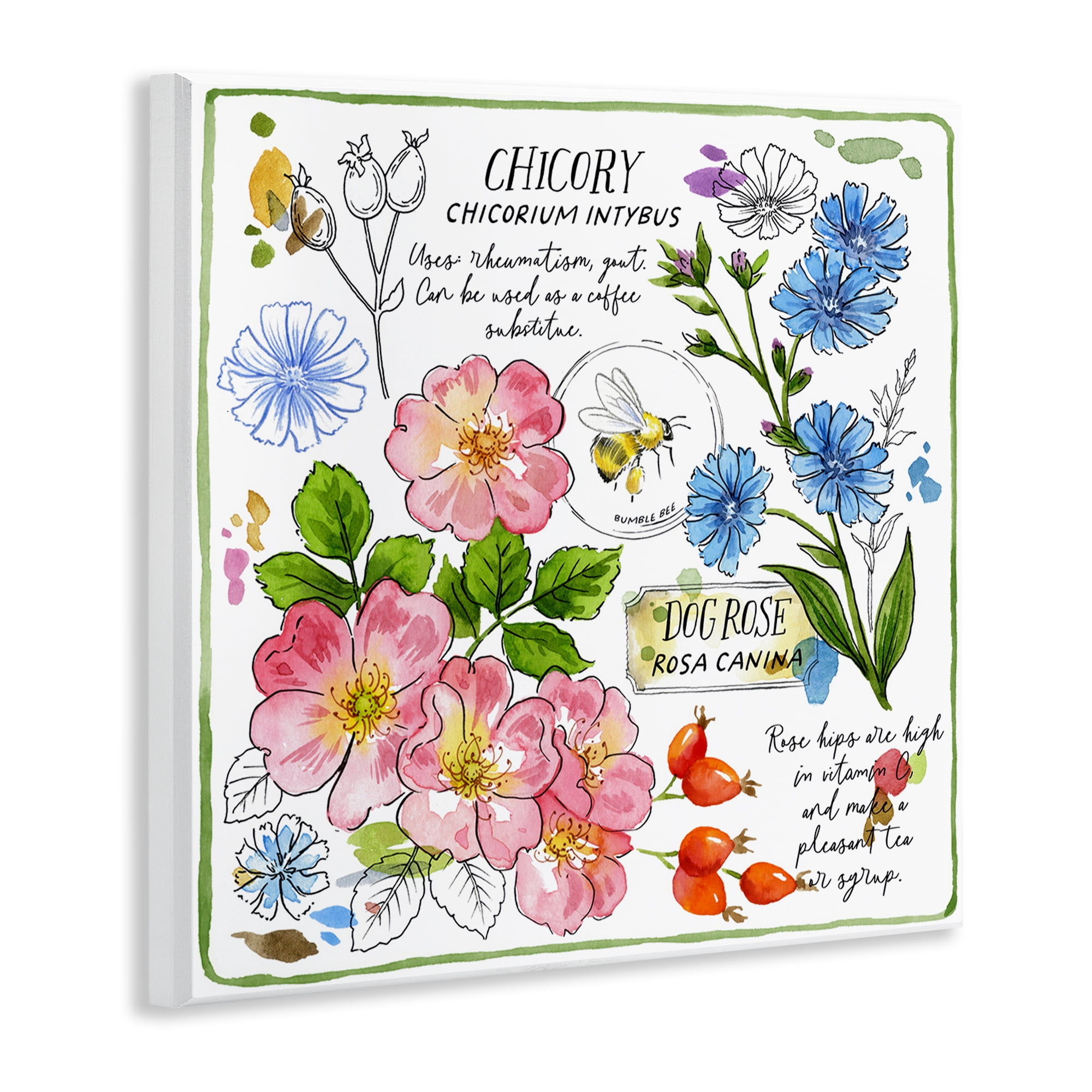 Stupell Industries Varied Herbs Benefits Plants & Flowers Painting Unframed Art Print Wall Art, 12 x 12