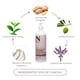 thumbnail image 2 of Acondicionador Dr. Natural con Aceite de Coco 473 ml 100% Hecho de Plantas y Aceites Naturales, 2 of 7