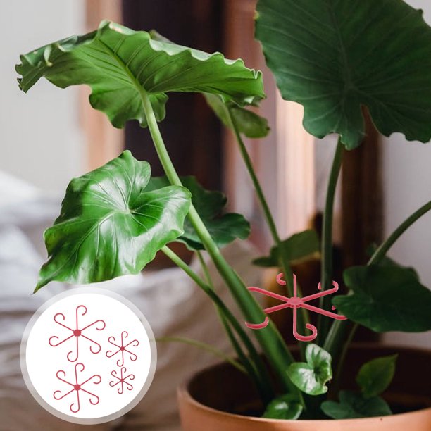 OULII 12Ud Sujetadores Para Plantas Trepadoras En Jardín Clips ABS Resistentes