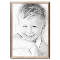 ArtToFrames 27" x 40" Anique Silver Picture Frame, 27x40 inch Silver Wood Poster Frame (WOM-4964)