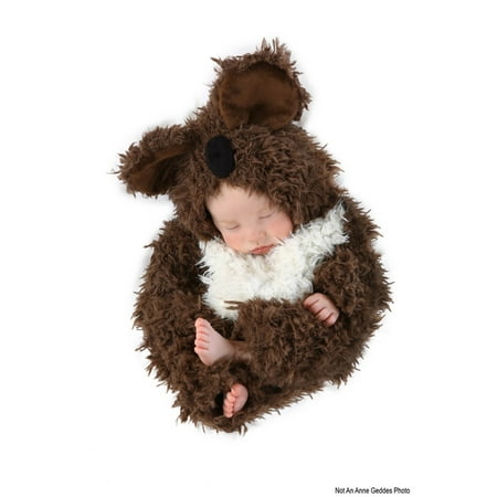 Infant Koala Anne Geddes Costume