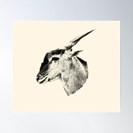 Common Eland Poster Wall Art, Modern Wall Decor For Living Room Bedroom, 8x12 UNFRAMED