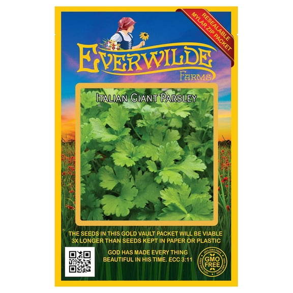 Everwilde Farms 1000 Italian Giant Parsley Seeds Plant Seeds, Open Pollinated Heirloom