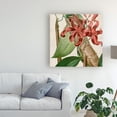 thumbnail image 3 of Cropped Turpin Tropicals IX' Canvas Art by Vision Studio, 3 of 4